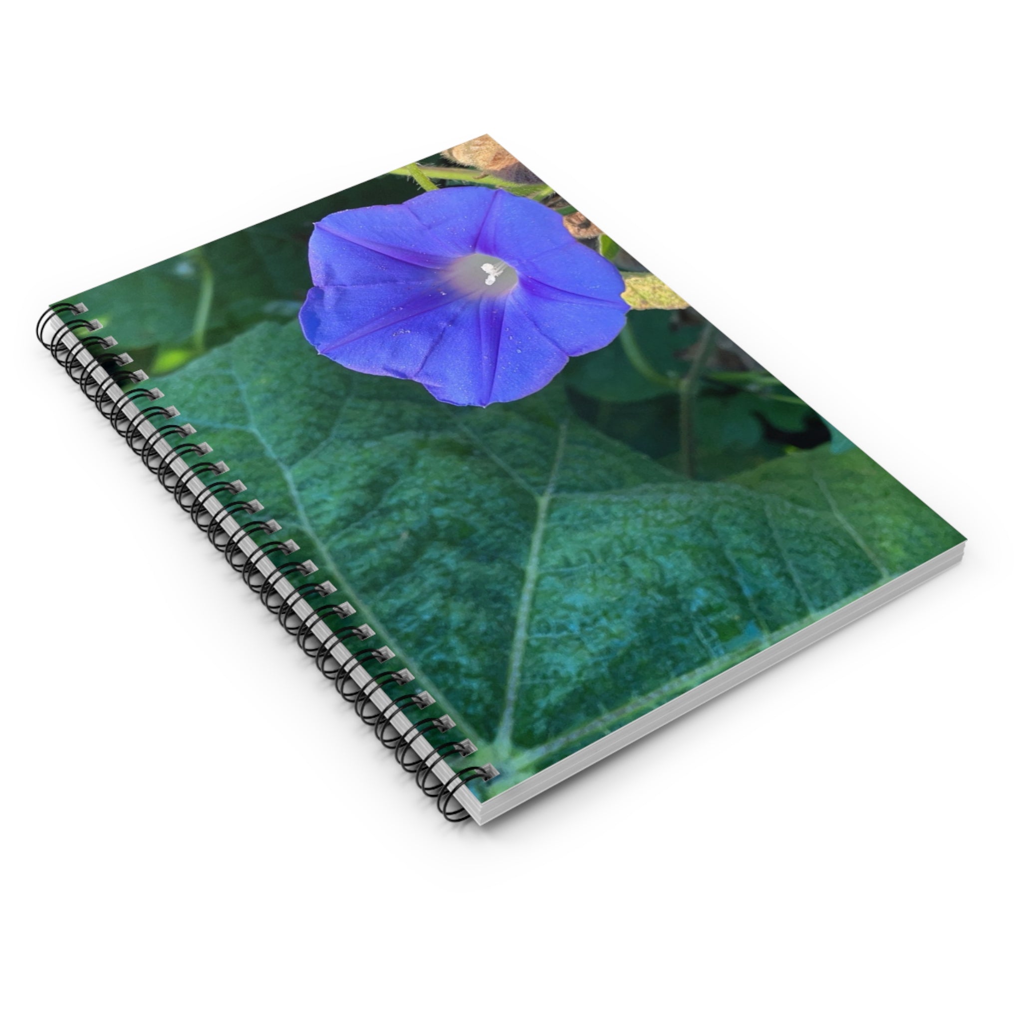 Morning Glory Spiral Notebook — Floral Ruled Journal for Notes & Gardeners