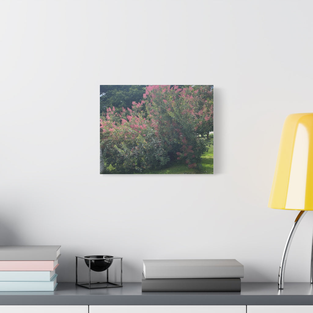 Smoke Bush Matte Canvas Print — Stretched 1.25" Wall Art