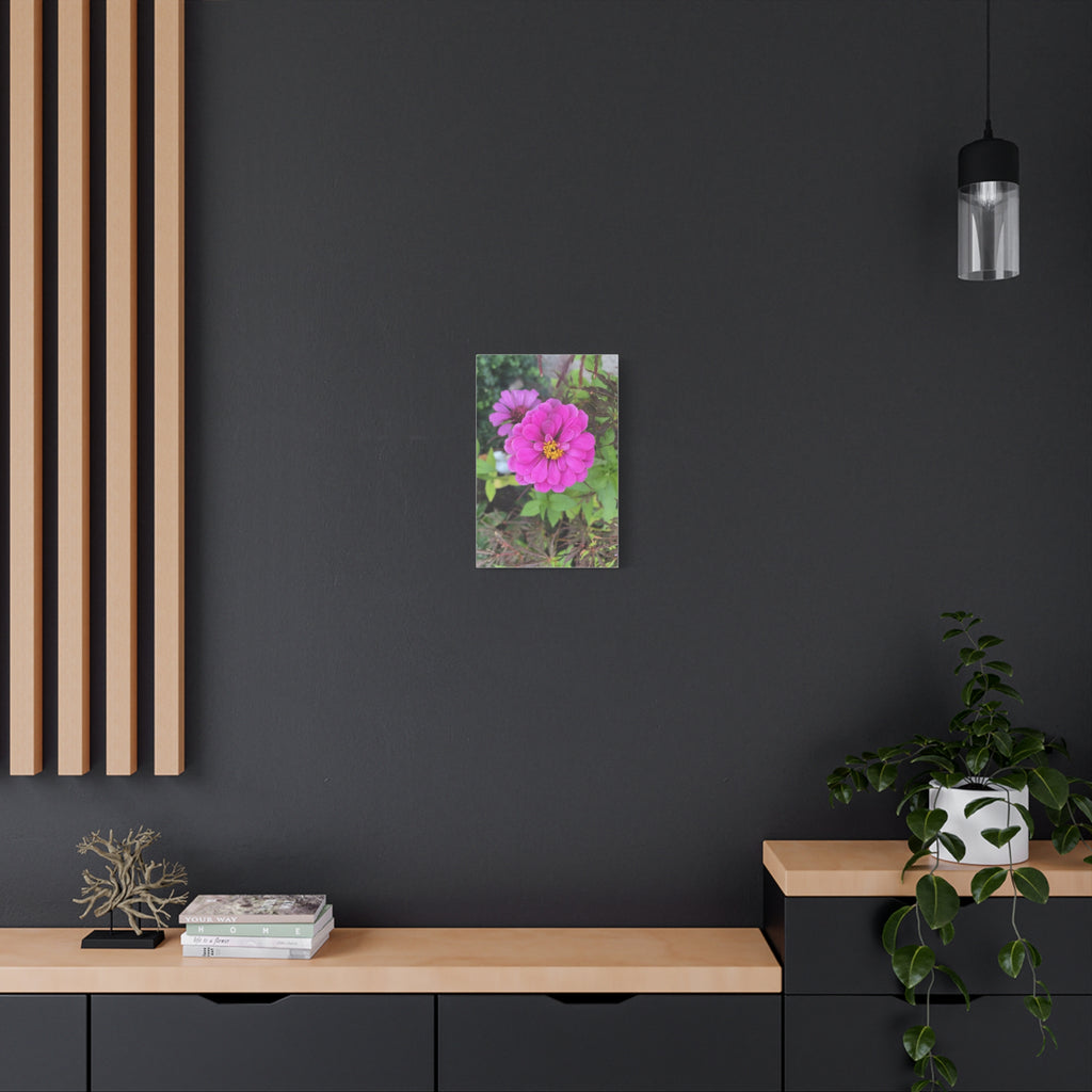 Pink Zinnia Floral Canvas Print — Matte Stretched Wall Art