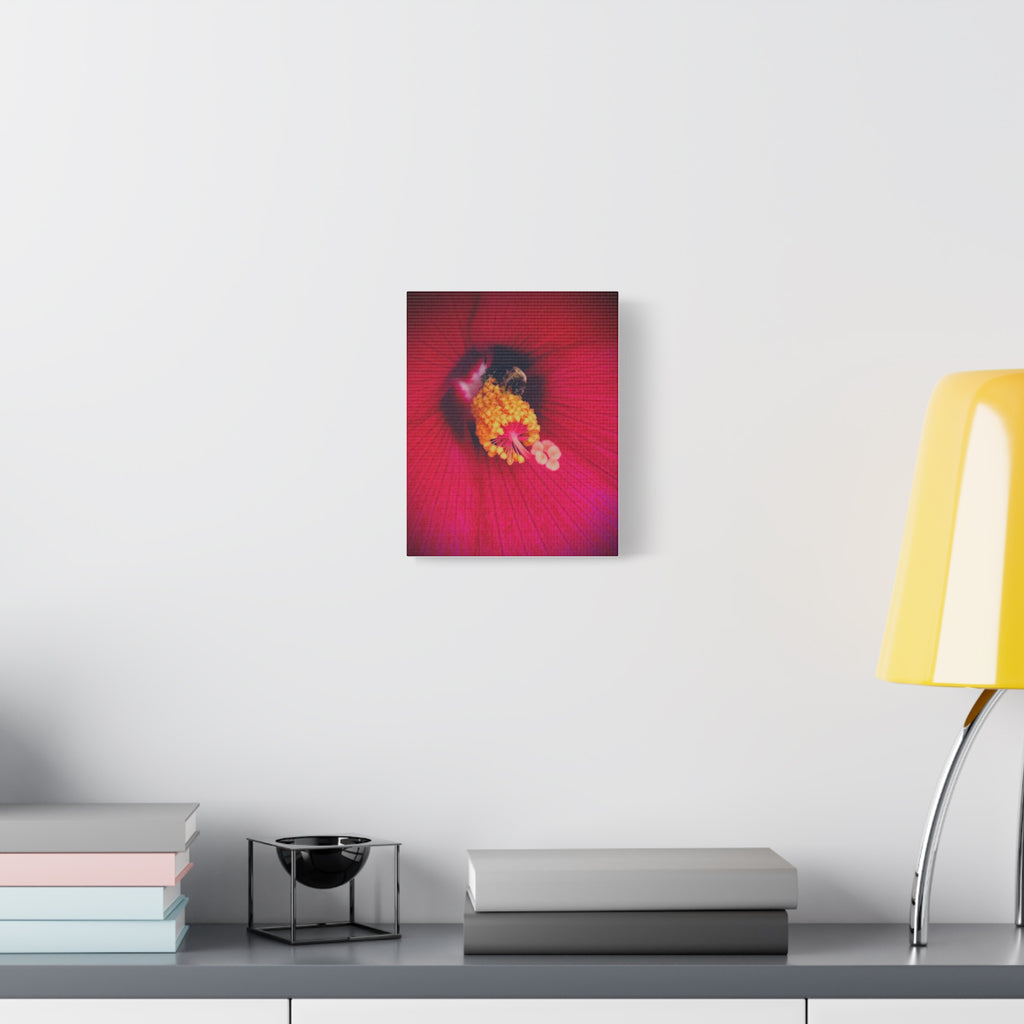 Sleeping Bee Canvas Print — Vibrant Floral Wall Art