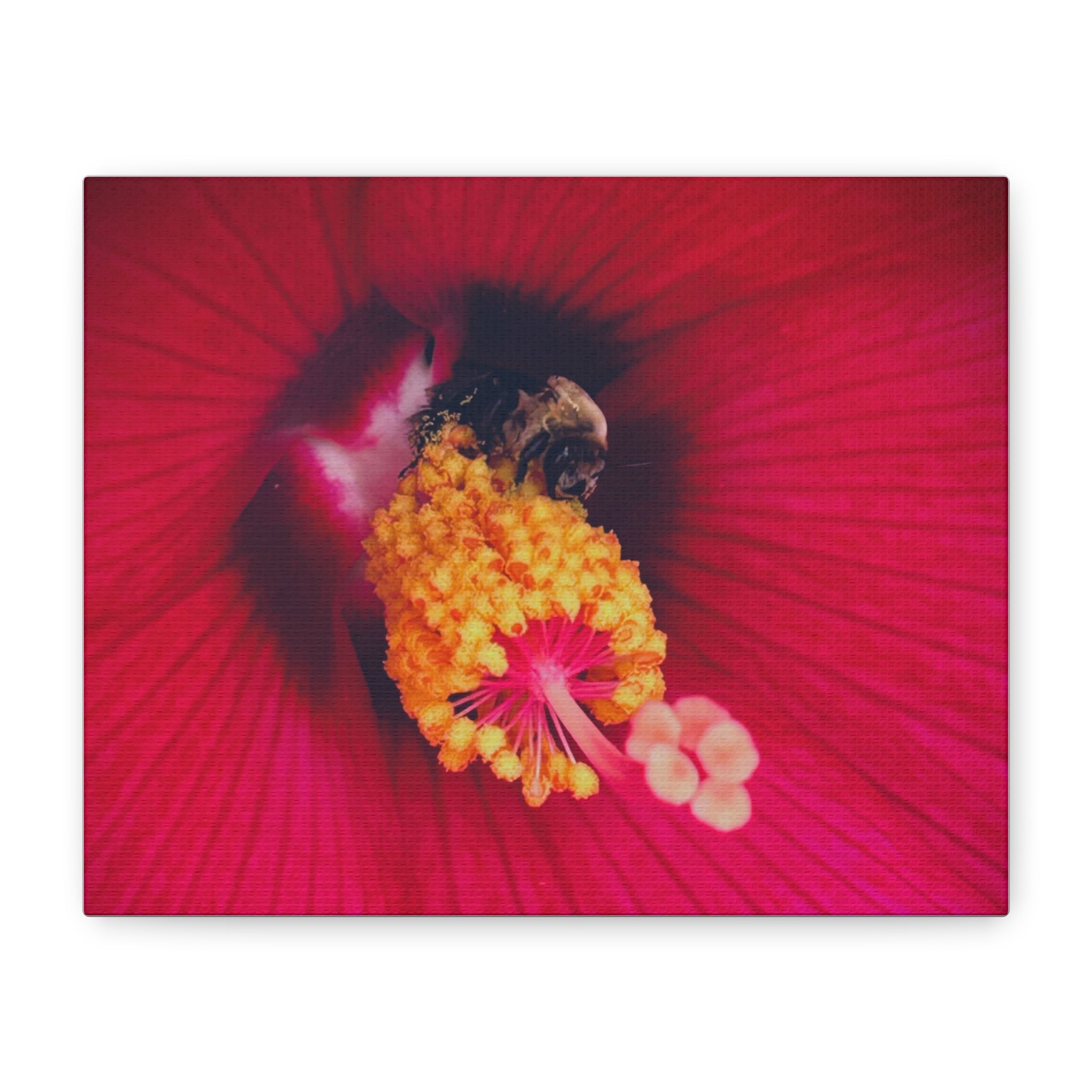 Sleeping Bee Canvas Print — Vibrant Floral Wall Art
