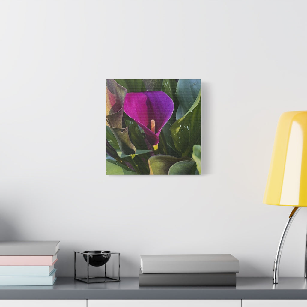 Purple Calla Lily Canvas Print