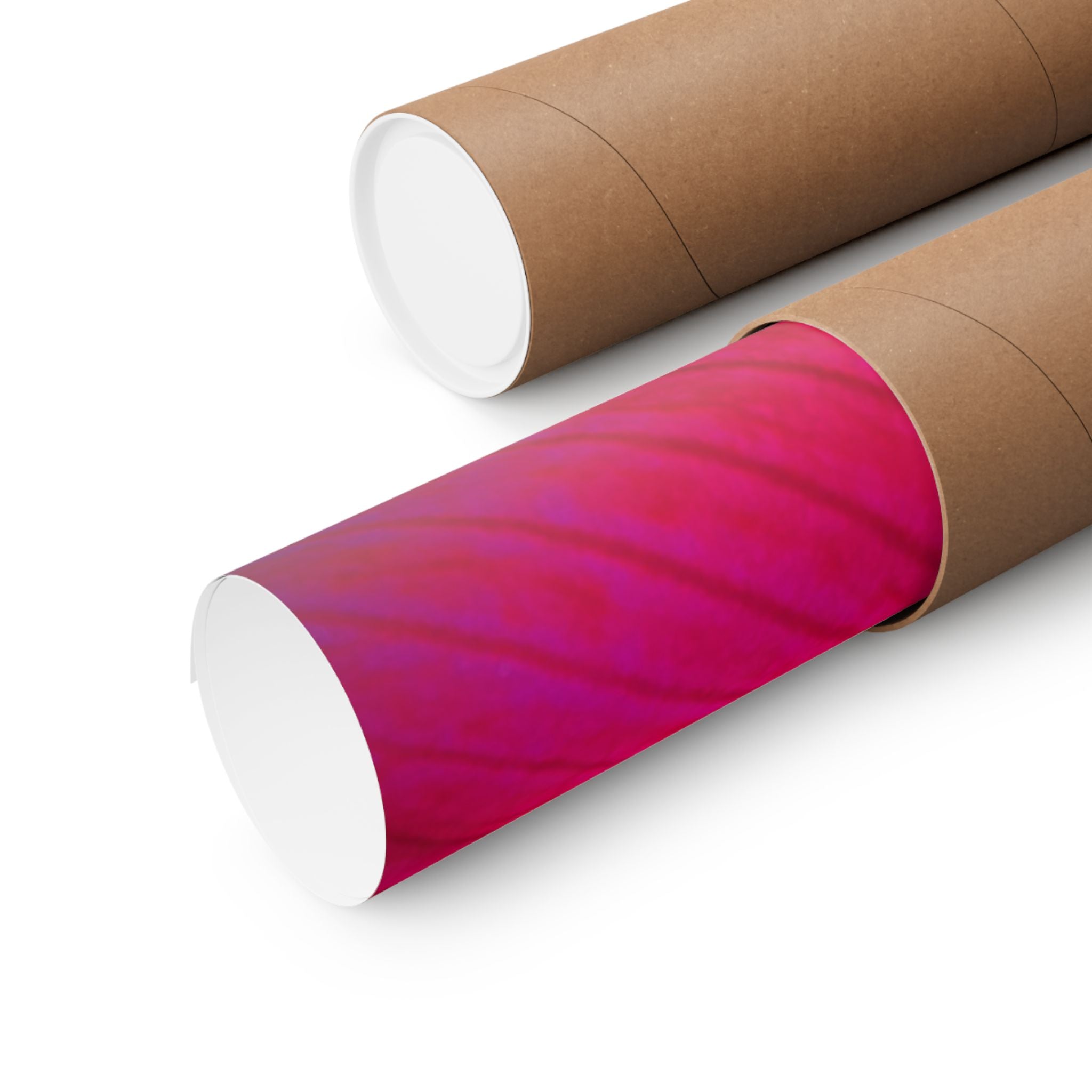 Floral Close-Up Matte Poster — Red Hibiscus with Bee