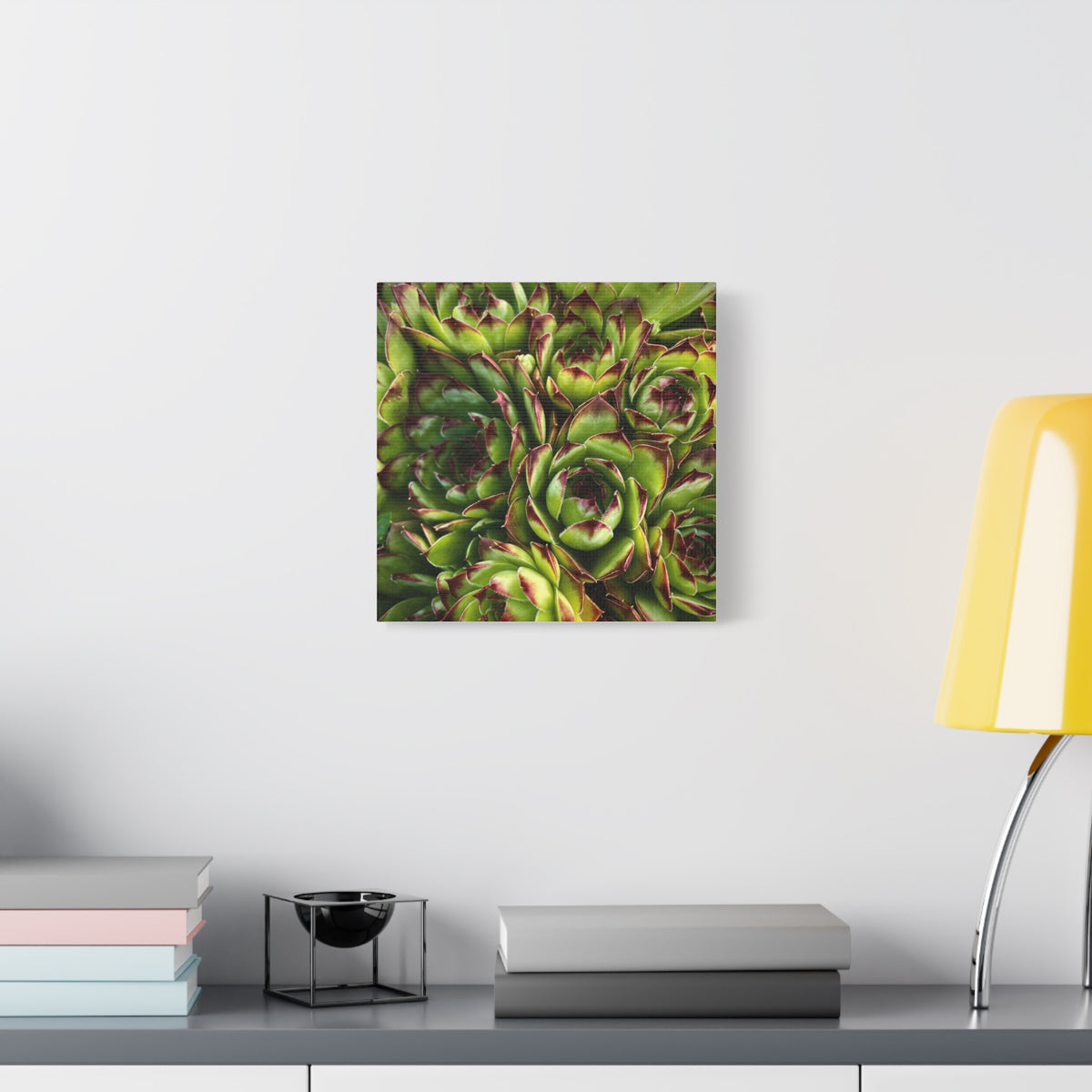 Succulent Garden Canvas Print