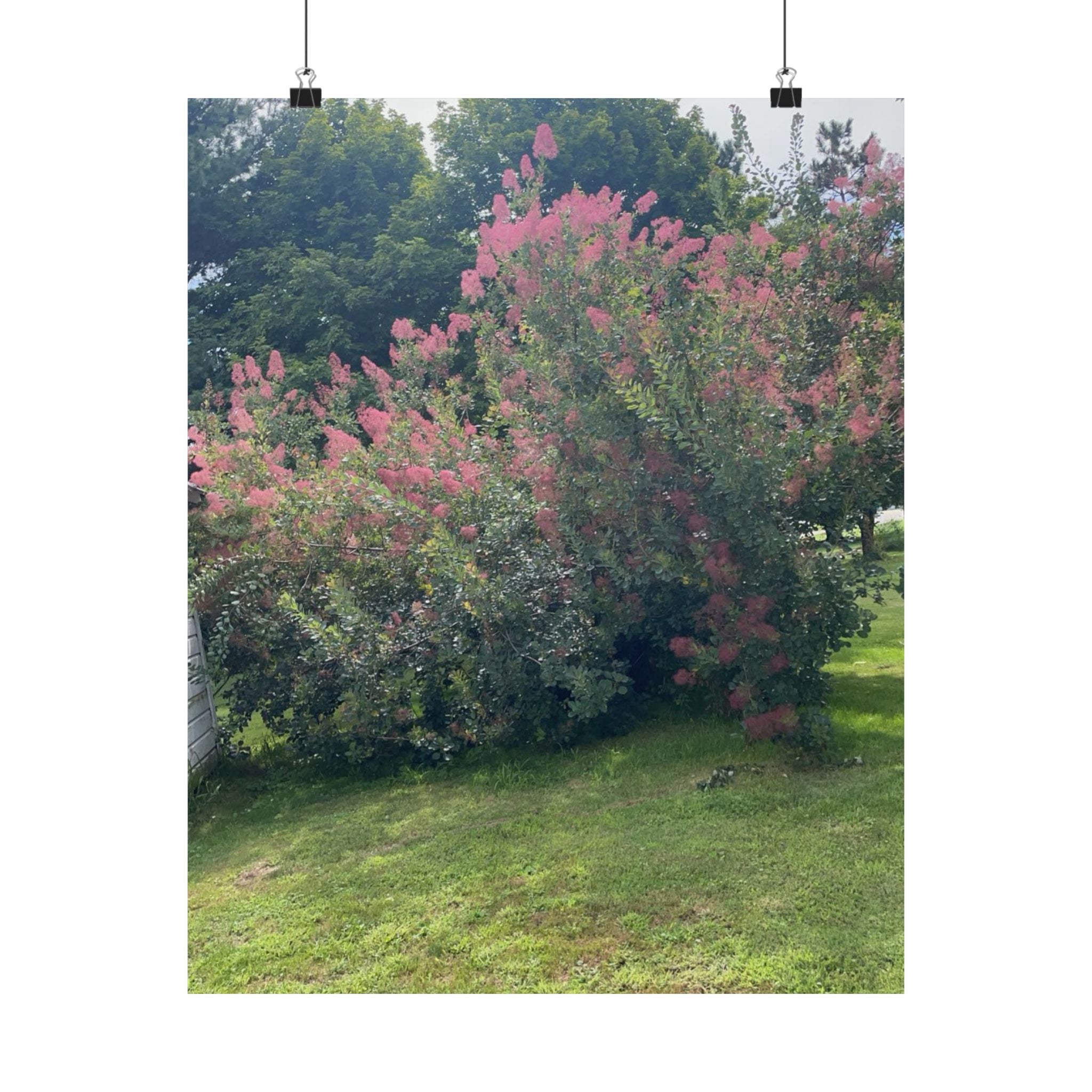 Smoke Bush Poster — Matte Vertical Floral Wall Art