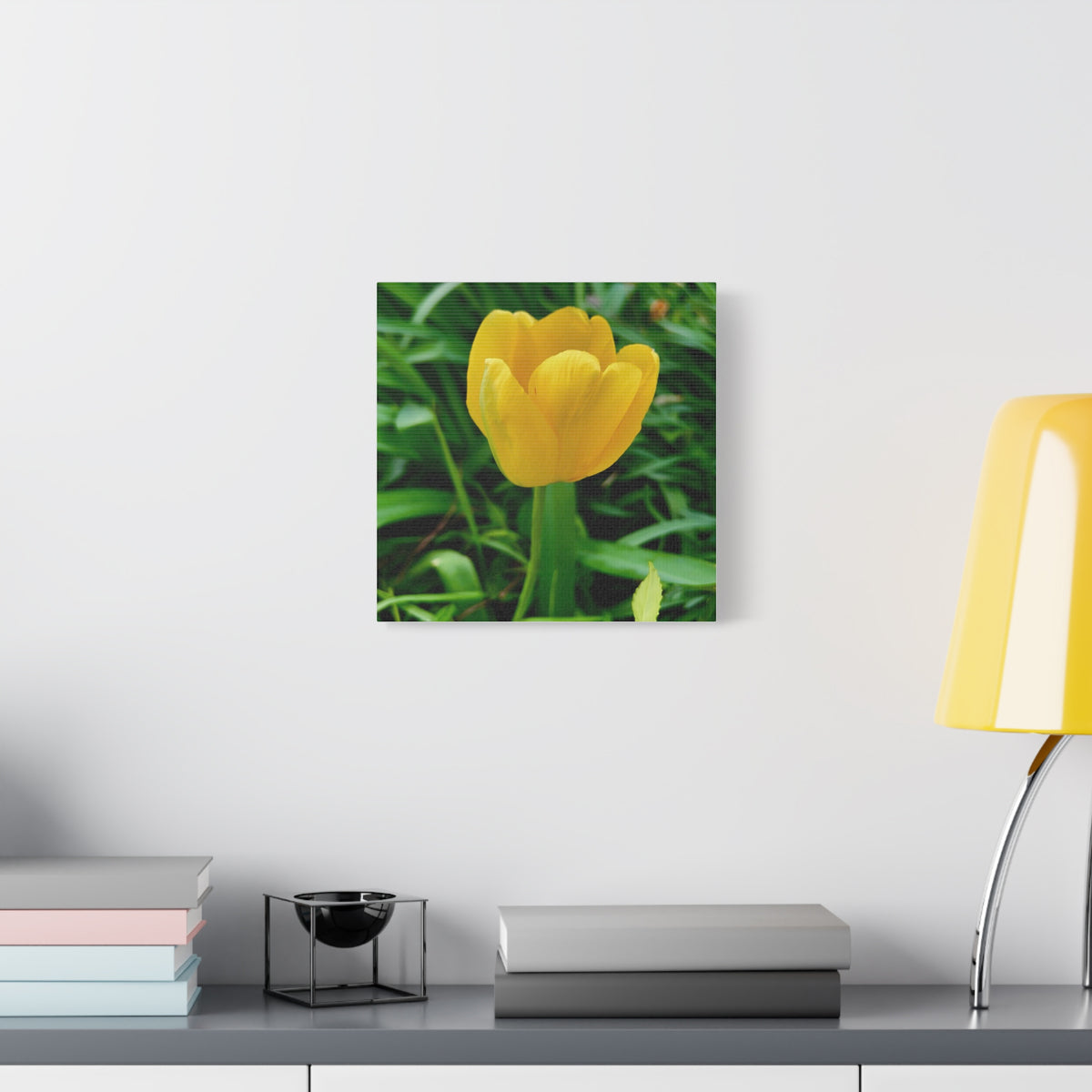 Yellow Tulip Canvas Print