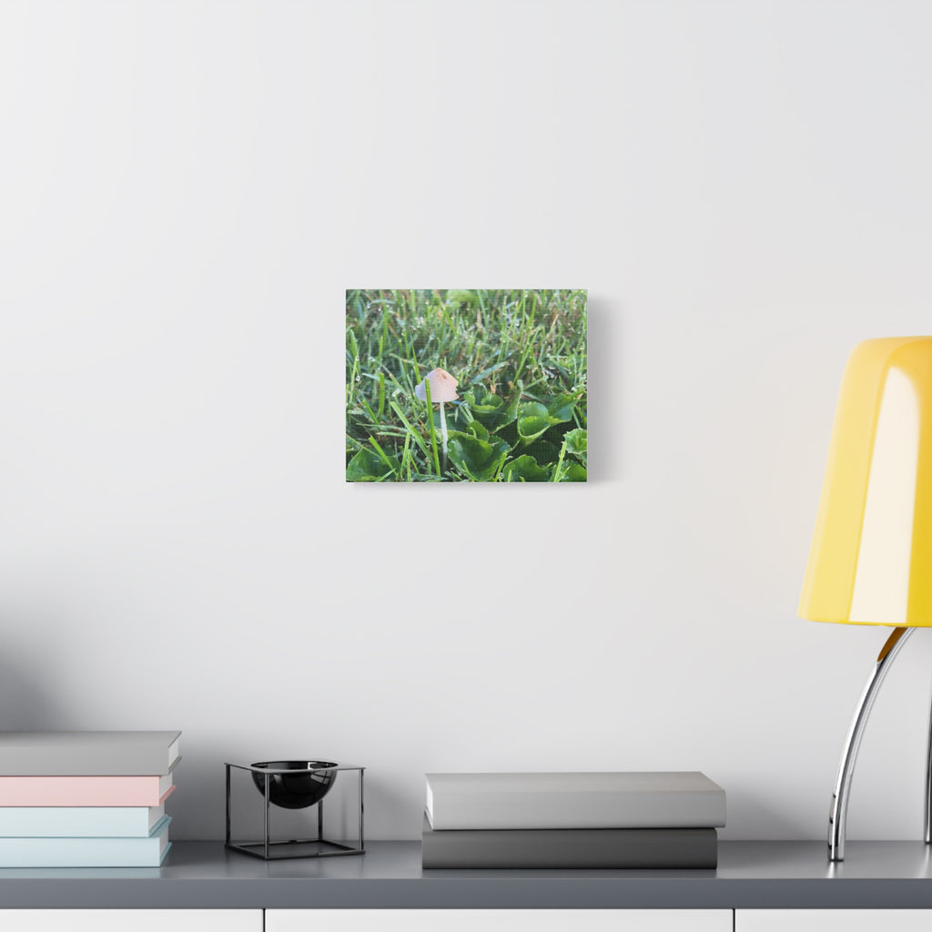 Mushroom in Grass Matte Canvas Wall Art – Nature Photography, Stretched 1.25"