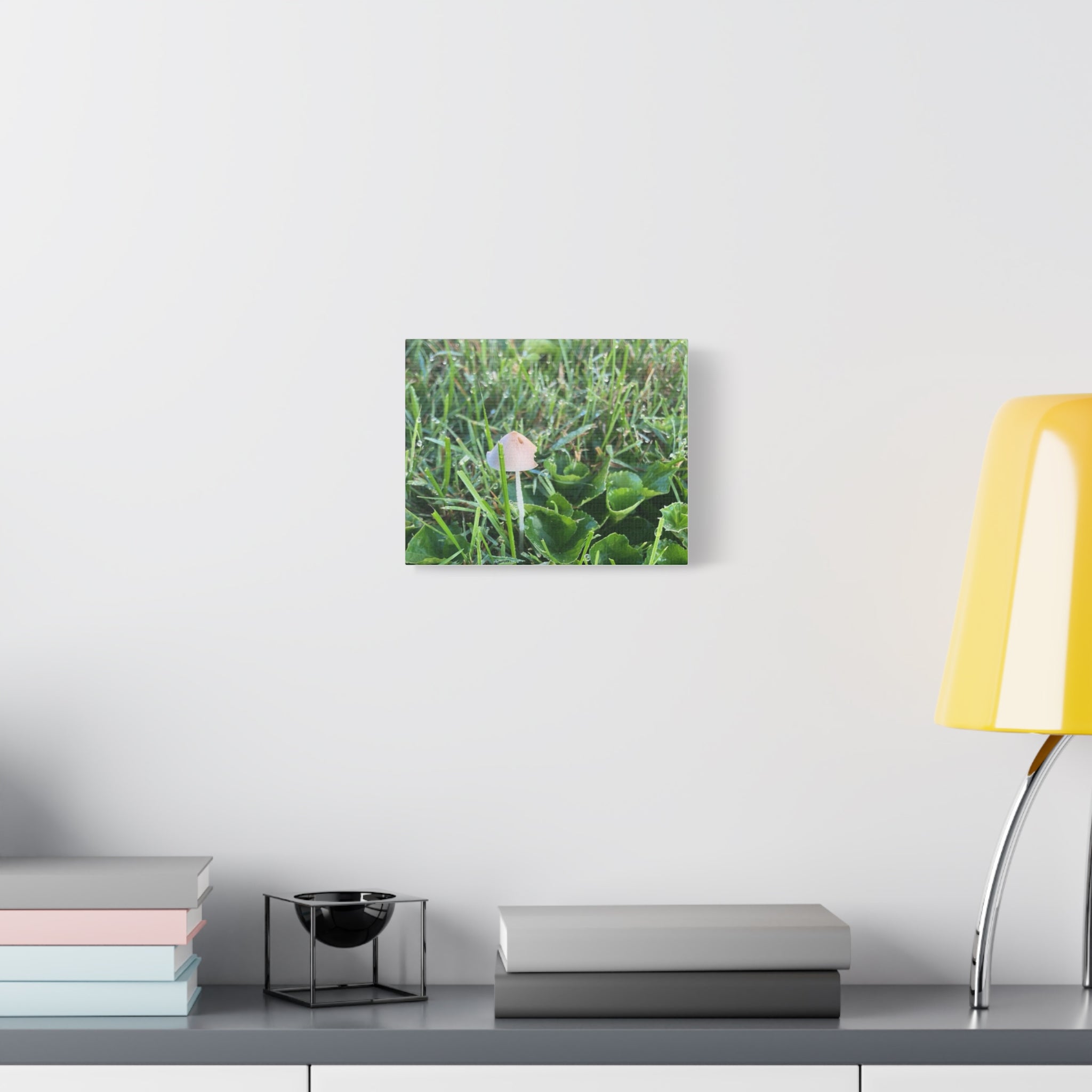 Mushroom in Grass Matte Canvas Wall Art – Nature Photography, Stretched 1.25"