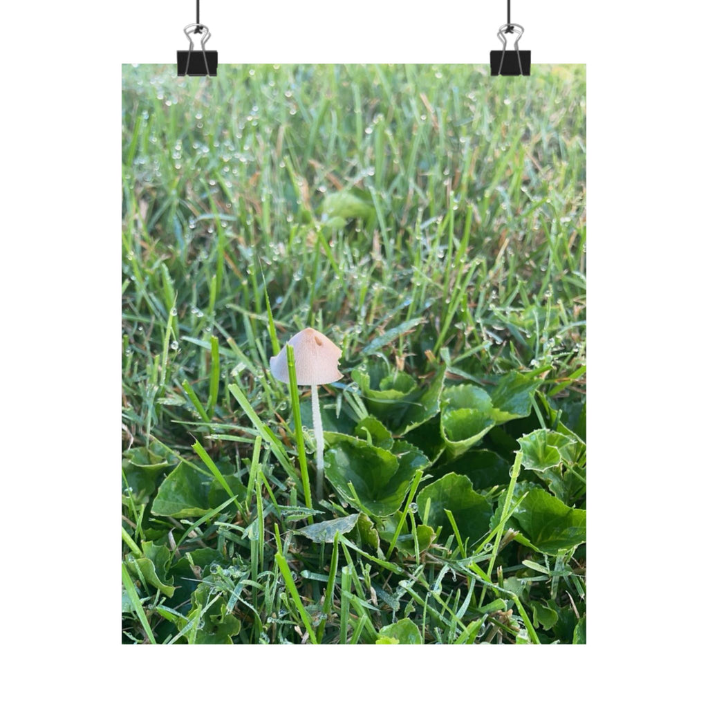 Mushroom in Grass Matte Poster — Nature Photo Vertical Wall Art