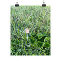 Mushroom in Grass Matte Poster — Nature Photo Vertical Wall Art