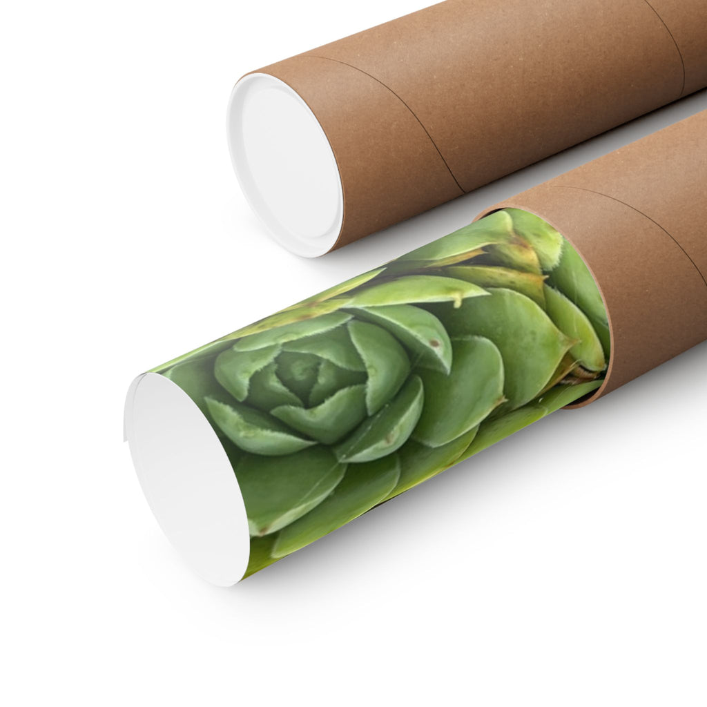 Succulent Garden Matte Poster — Green Botanical Vertical Wall Art