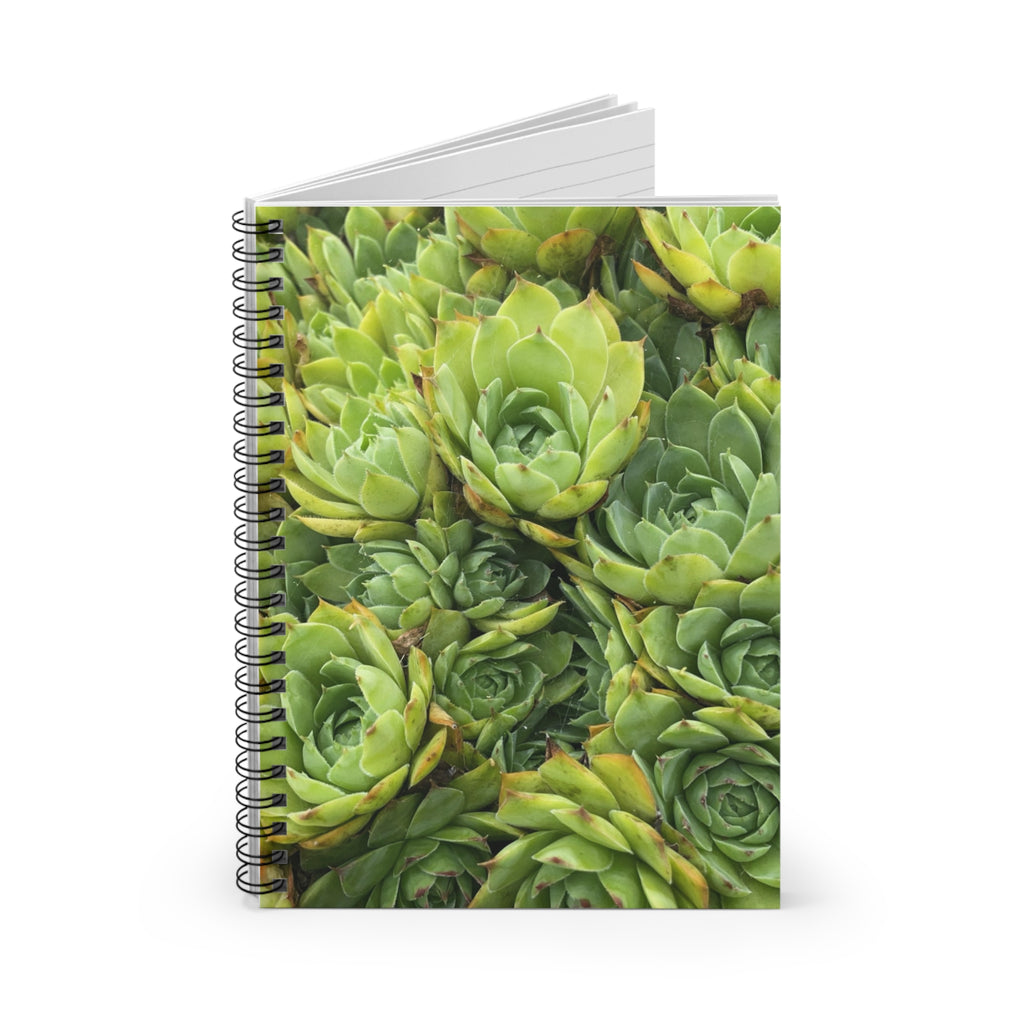 Succulent Garden Spiral Notebook — Ruled Journal for Plant Lovers