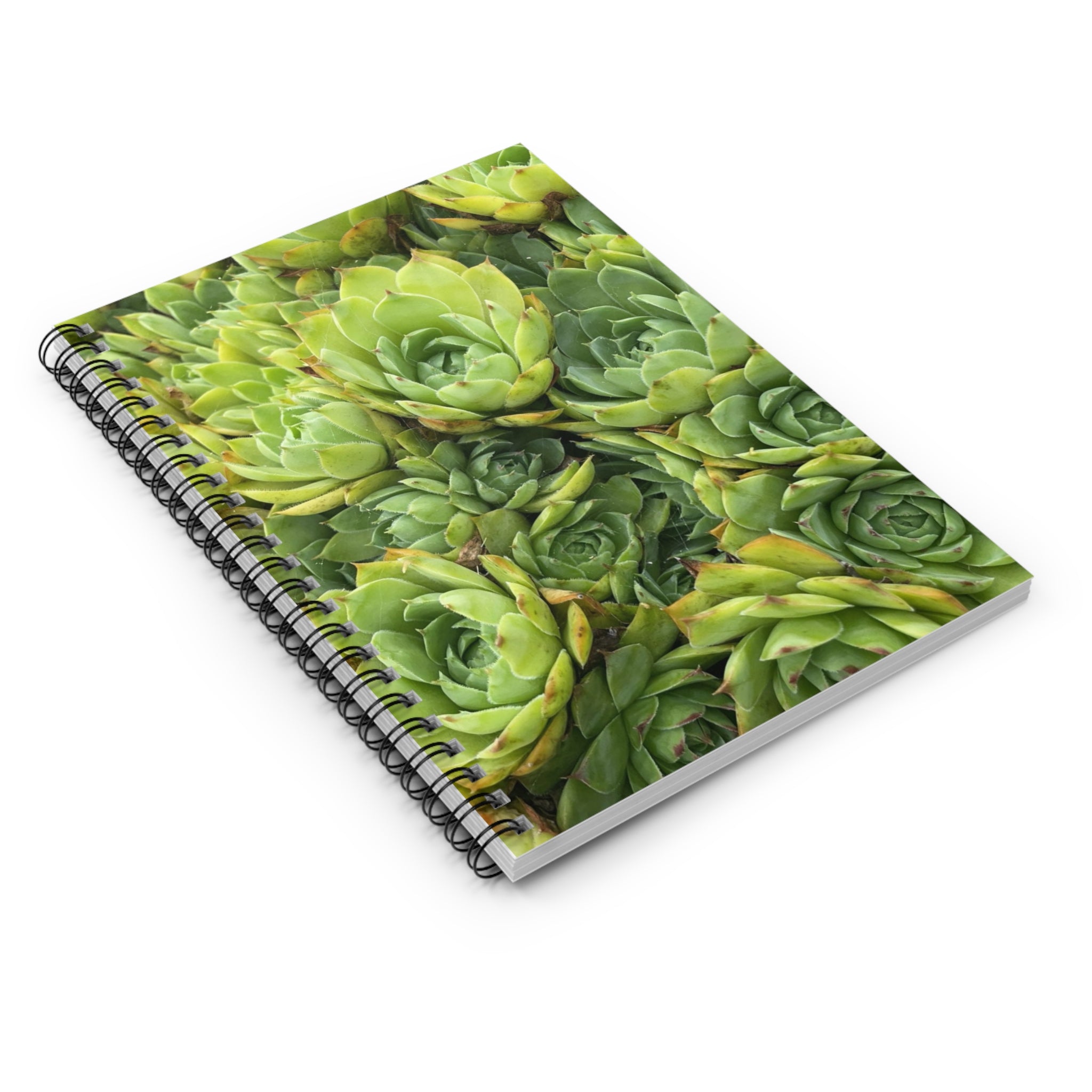 Succulent Garden Spiral Notebook — Ruled Journal for Plant Lovers