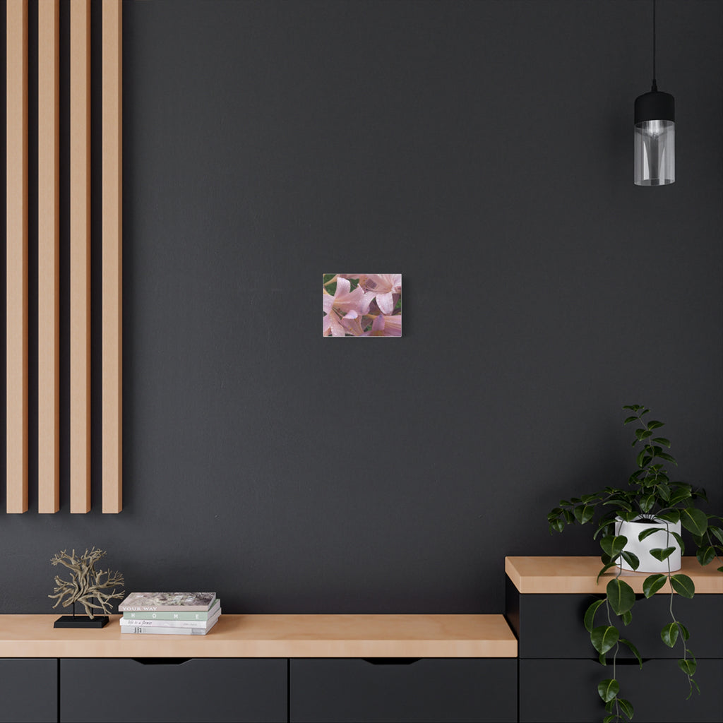 Pink Rain Lily Canvas Print — Matte Stretched Wall Art