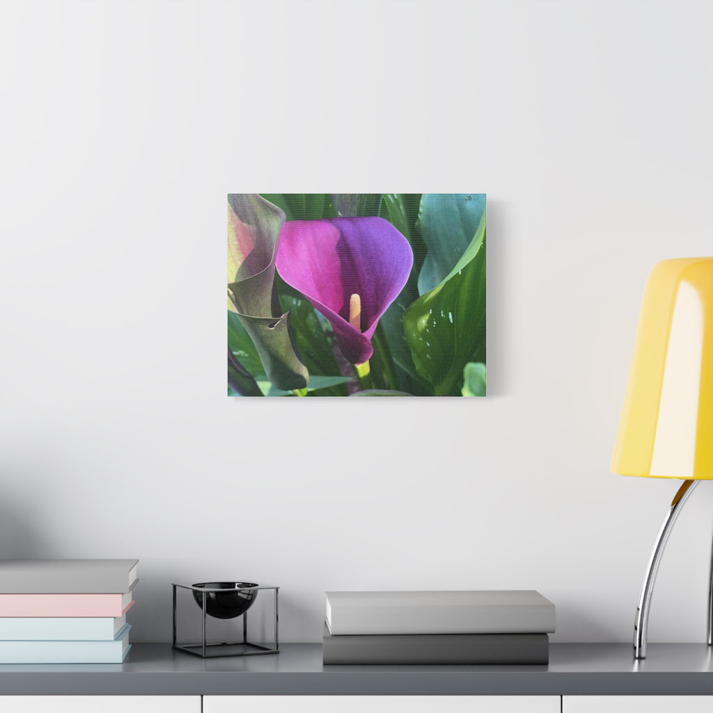 Purple Calla Lily Canvas Wall Art — Stretched Matte Floral Print