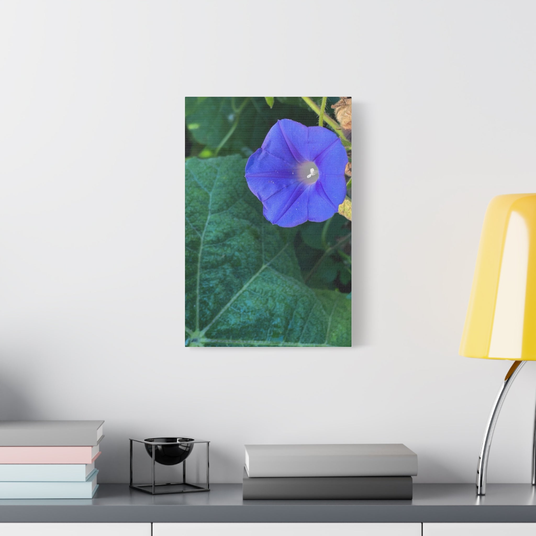 Morning Glory Canvas Wall Art — Vibrant Purple Flower Matte Stretched Canvas