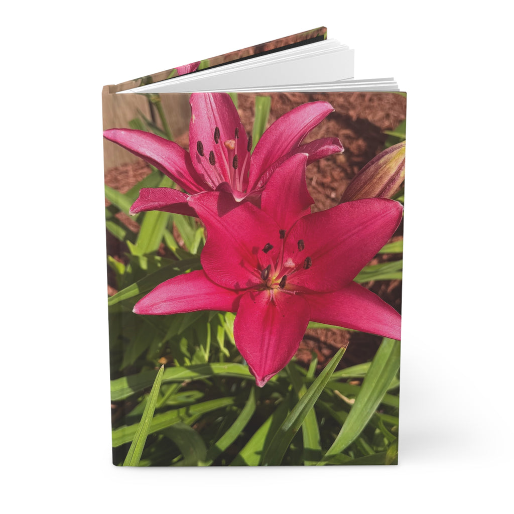 Pink Asiatic Lily Hardcover Journal