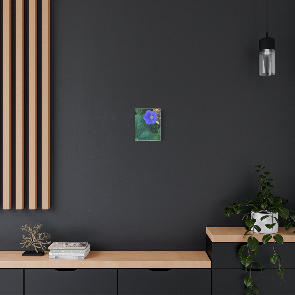 Morning Glory Canvas Wall Art — Vibrant Purple Flower Matte Stretched Canvas