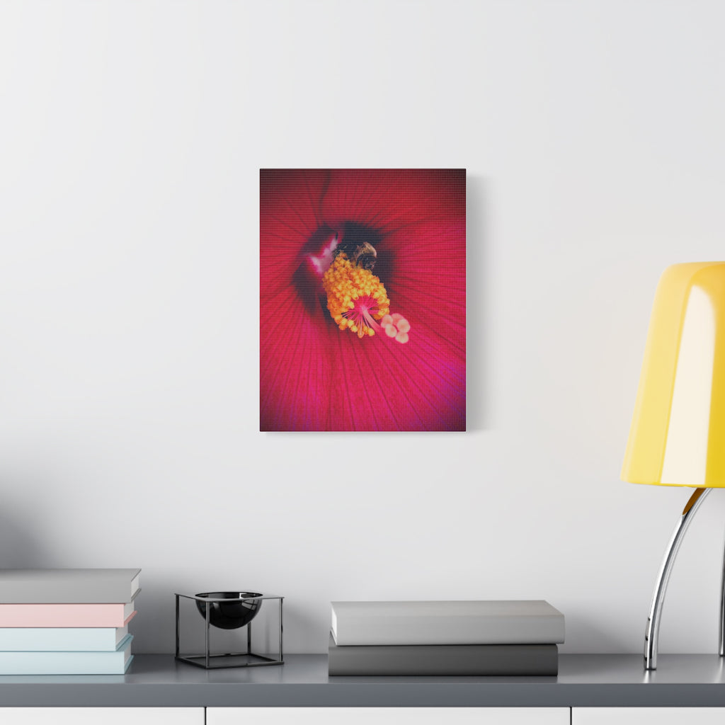 Sleeping Bee Canvas Print — Vibrant Floral Wall Art